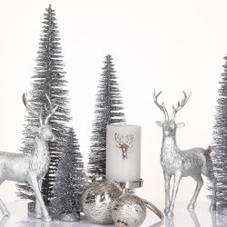 Bilderschmiede Bad Neustadt - professionelle Bewerbeungsbilder, Passbilder und Shootings