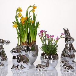 Bilderschmiede Bad Neustadt - professionelle Bewerbeungsbilder, Passbilder und Shootings