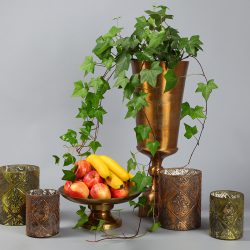 Bilderschmiede Bad Neustadt - professionelle Bewerbeungsbilder, Passbilder und Shootings